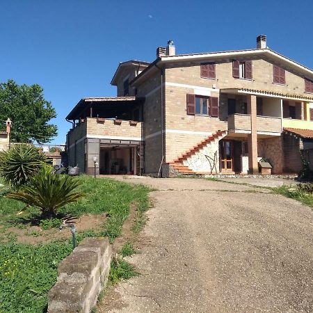 La Tana Di Stefano Otel Anguillara Sabazia Dış mekan fotoğraf